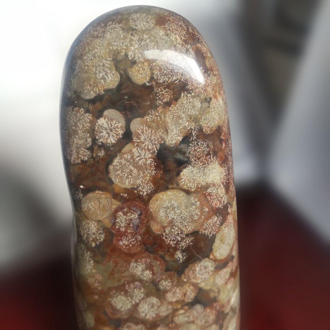 花紋石　青森県深浦町産　４０６０g　管理No.71105