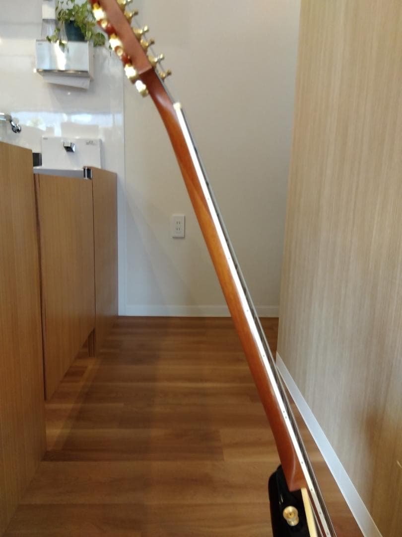 FUJIGEN フジゲン F&C Anboy AF-55C Ashfield