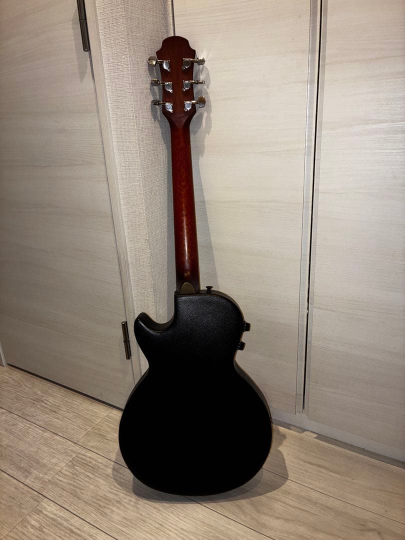 Legend by Aria エレアコ カッタウェイ ソフトケース付き