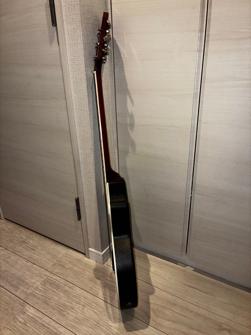 Legend by Aria エレアコ カッタウェイ ソフトケース付き