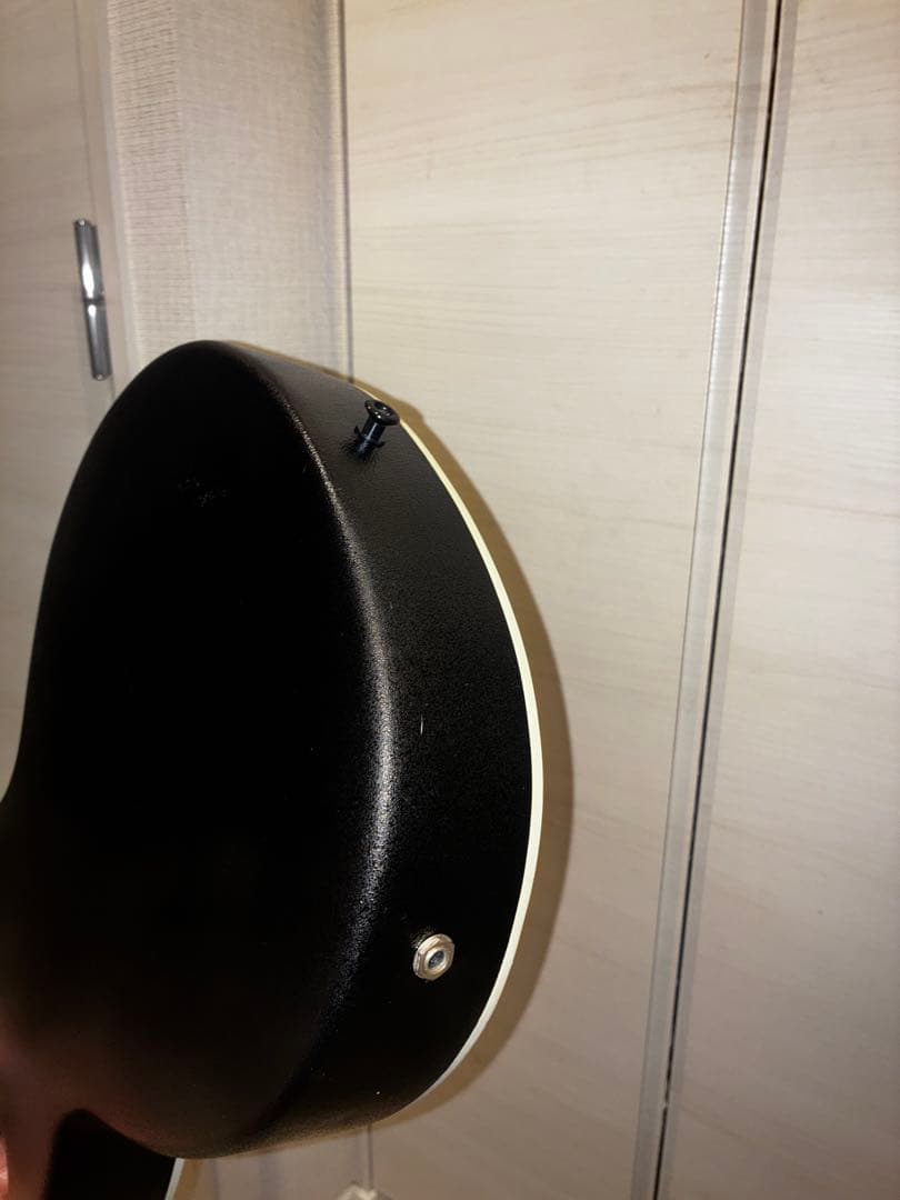 Legend by Aria エレアコ カッタウェイ ソフトケース付き