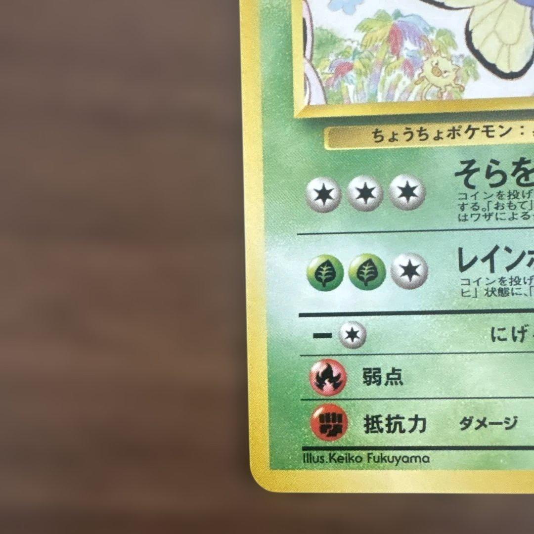 サザンアイランド　お花畑　旧裏ポケモンカード　ポストカードなし