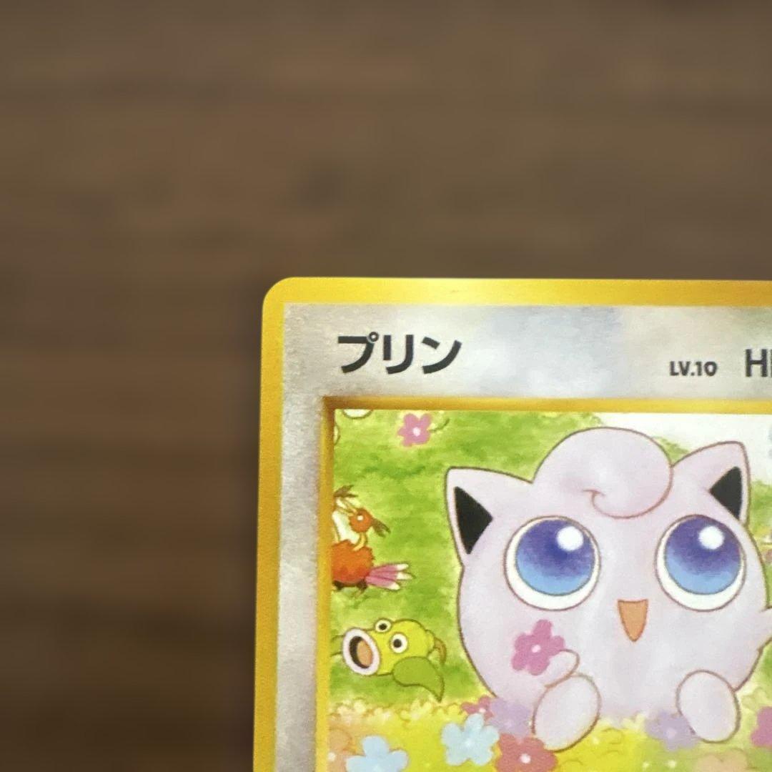 サザンアイランド　お花畑　旧裏ポケモンカード　ポストカードなし