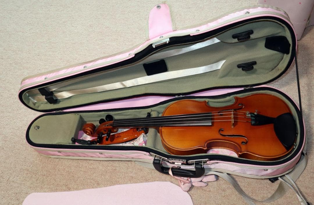 カールヘフナーのバイオリン