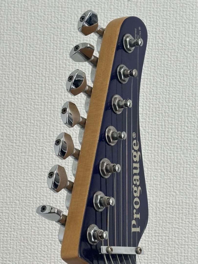 PROGAUGE by SCHECTER PS-600 7弦 モデルシェクター