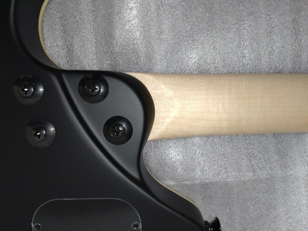 EVH Wolfgang Special Stealth Black 極美品