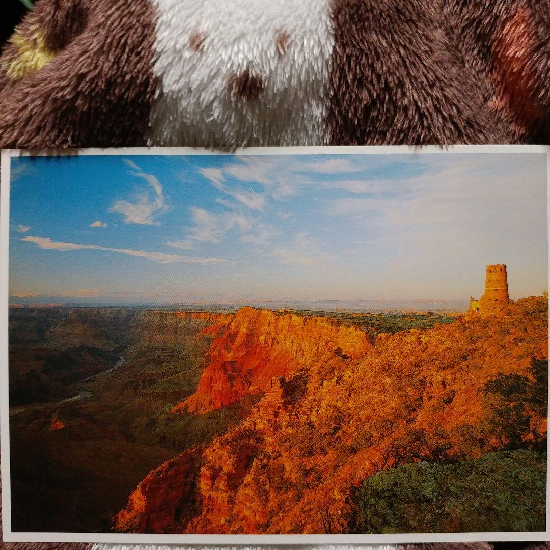 【隕石王】グランドキャニオン国立公園の美しい風景を収めたのポストカード