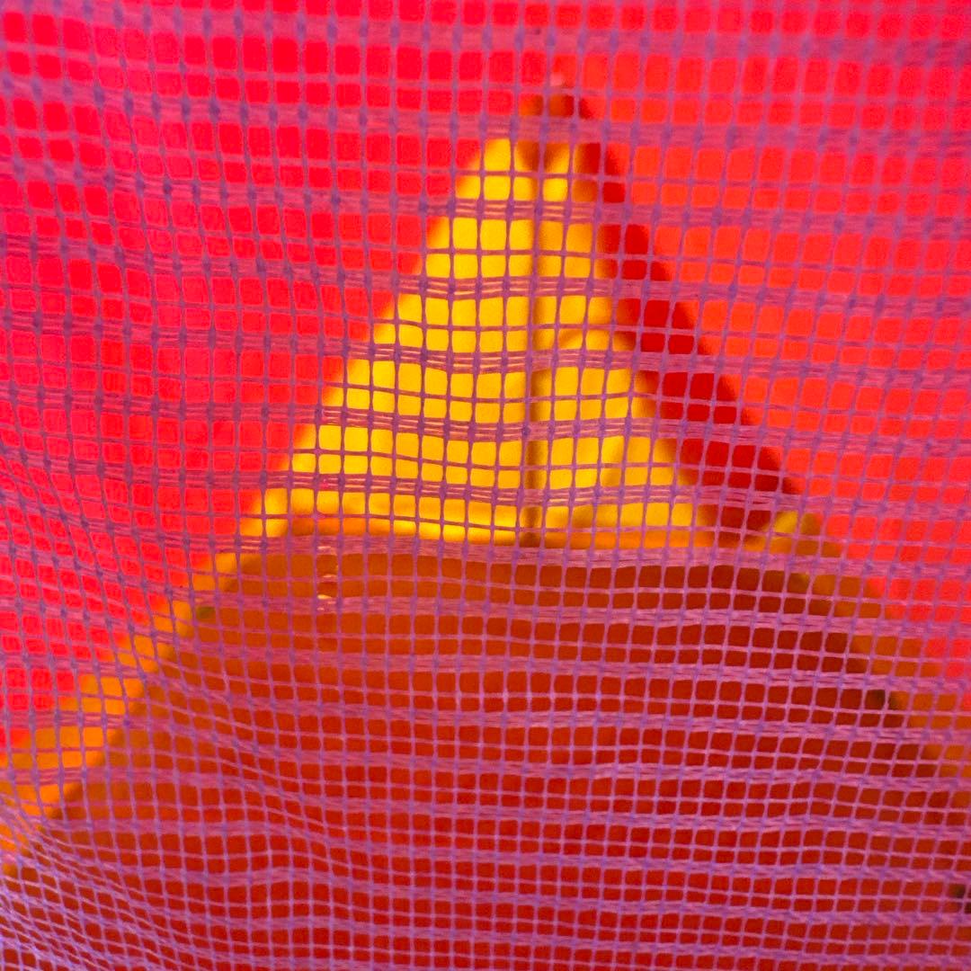 【希少】◆災害用◆6人用/テント/キャンプ