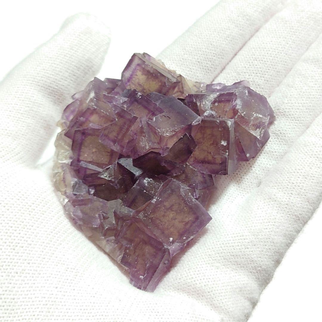 フローライト 47：ヤオガンシャン（満天星）