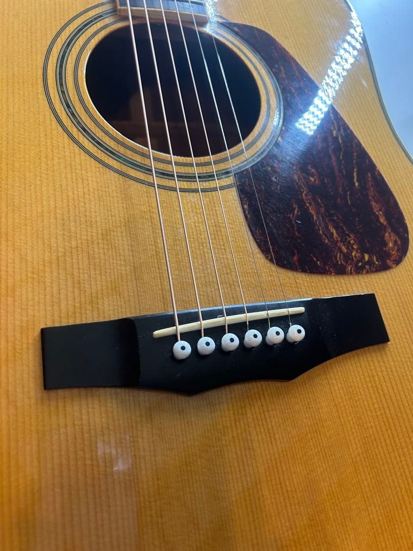 Morris m-501 アコースティックギター