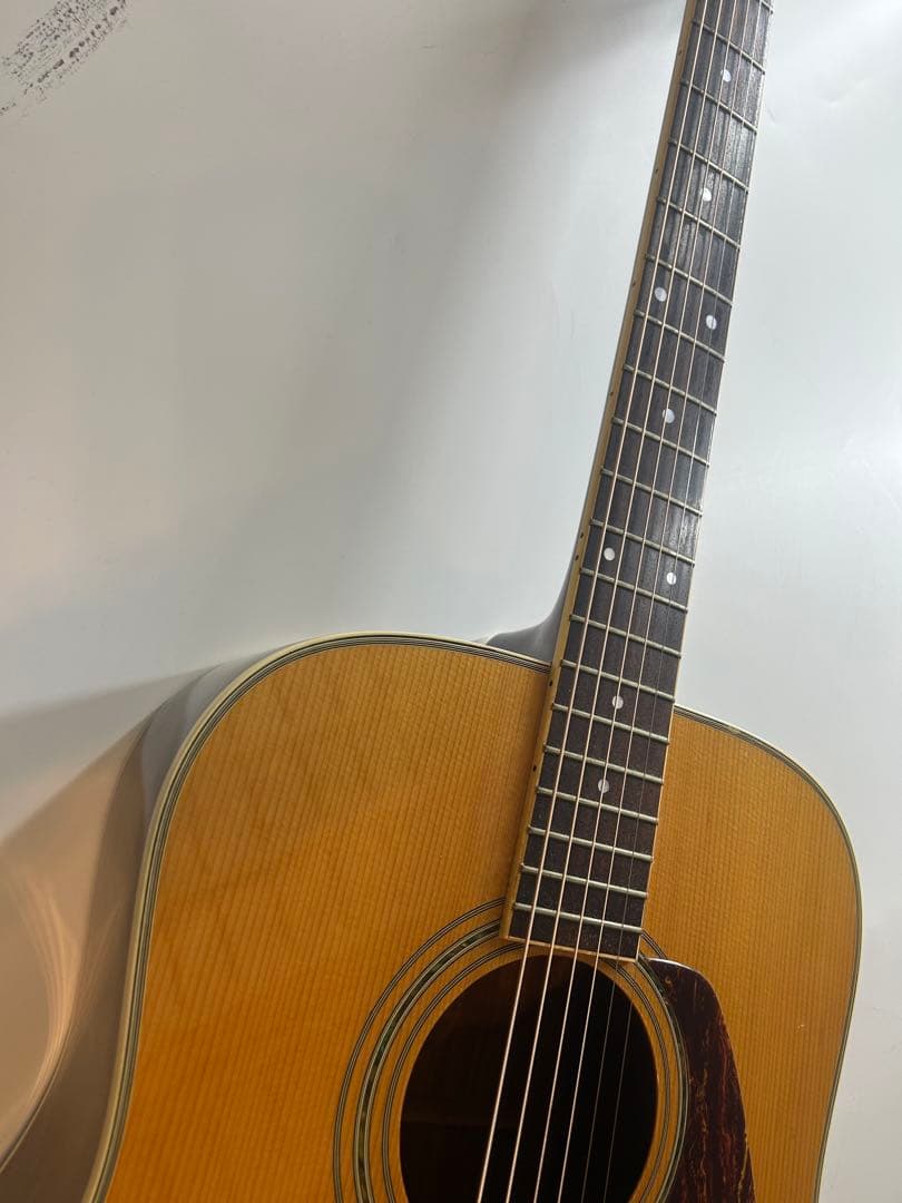 Morris m-501 アコースティックギター