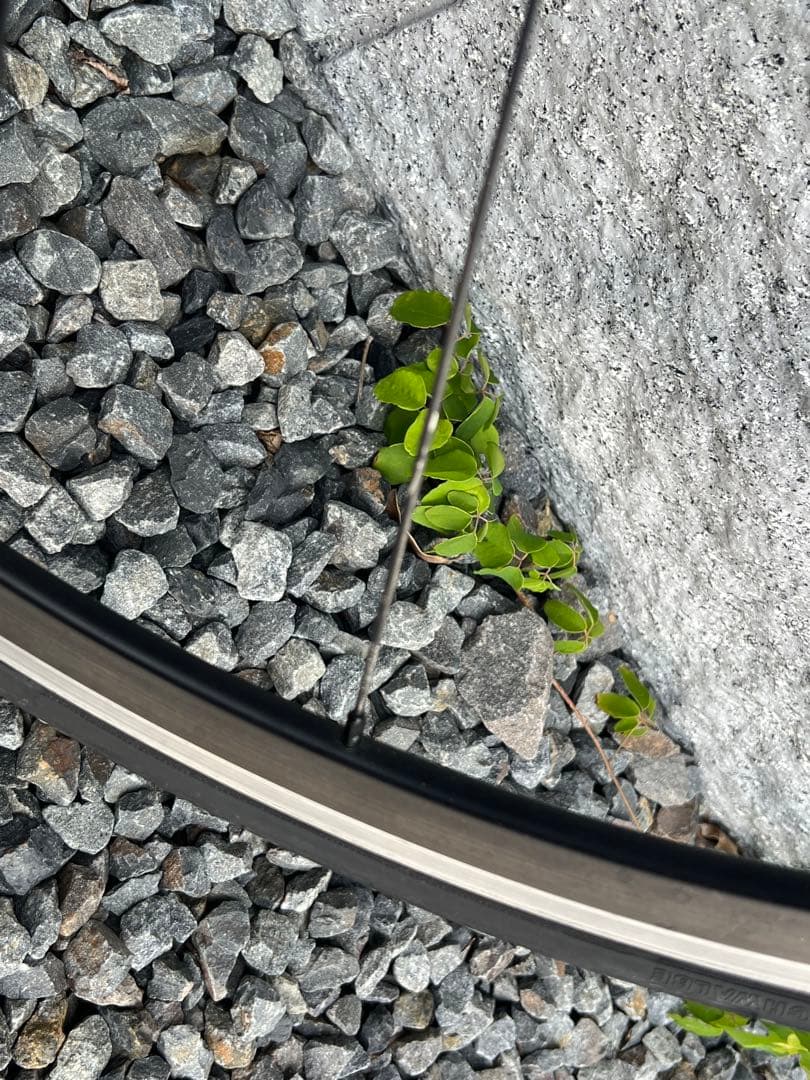 【Shimano】WH-RS11 ホイール ロードバイク　タイヤセット