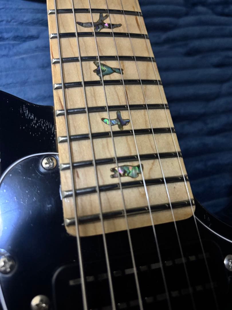 PRS SE NF 53　Black Doghair【軽量個体】