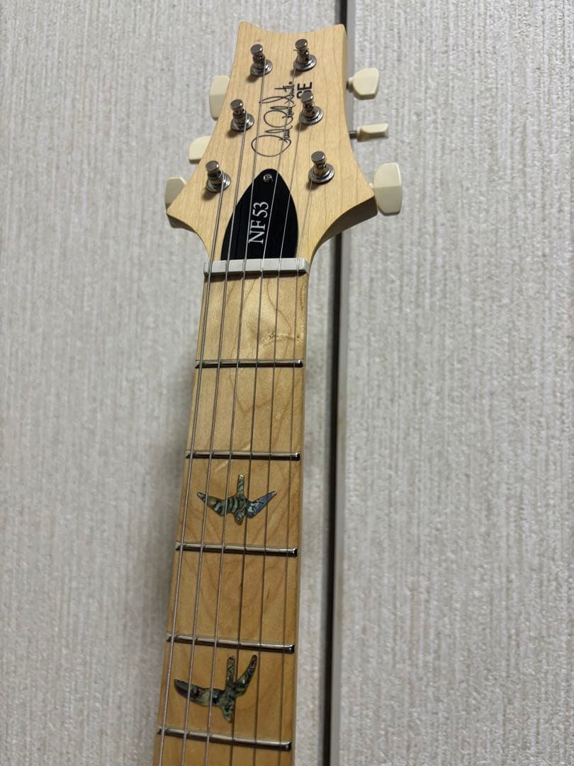 PRS SE NF 53　Black Doghair【軽量個体】