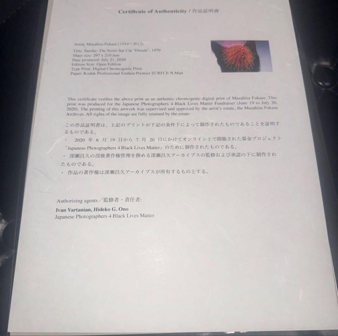 深瀬昌久　fukase masahisa サスケ写真　募金プロジェクトのめに制作