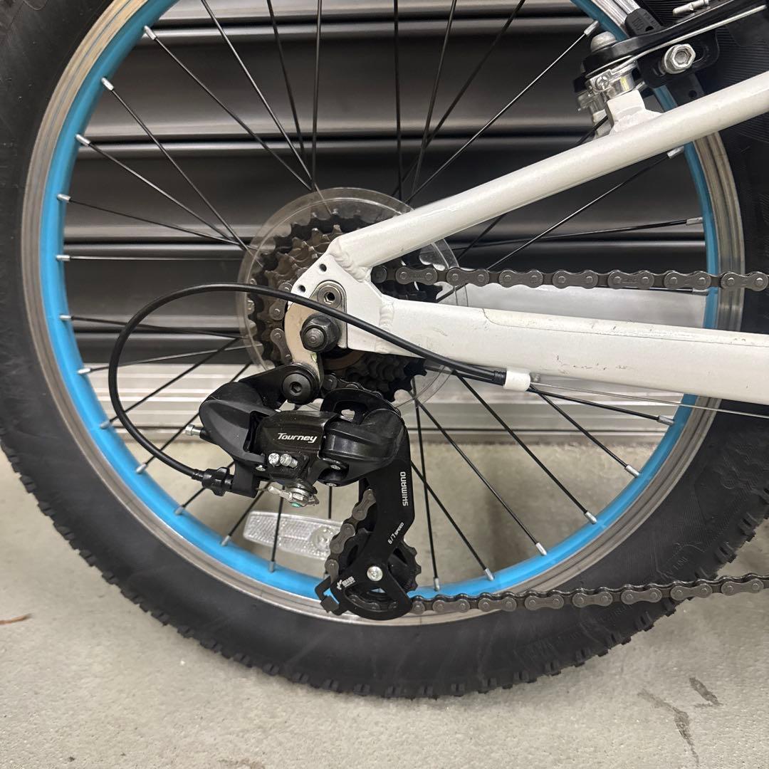 トレック　『PRECALIBER 20』　ホワイト/ミズイロ