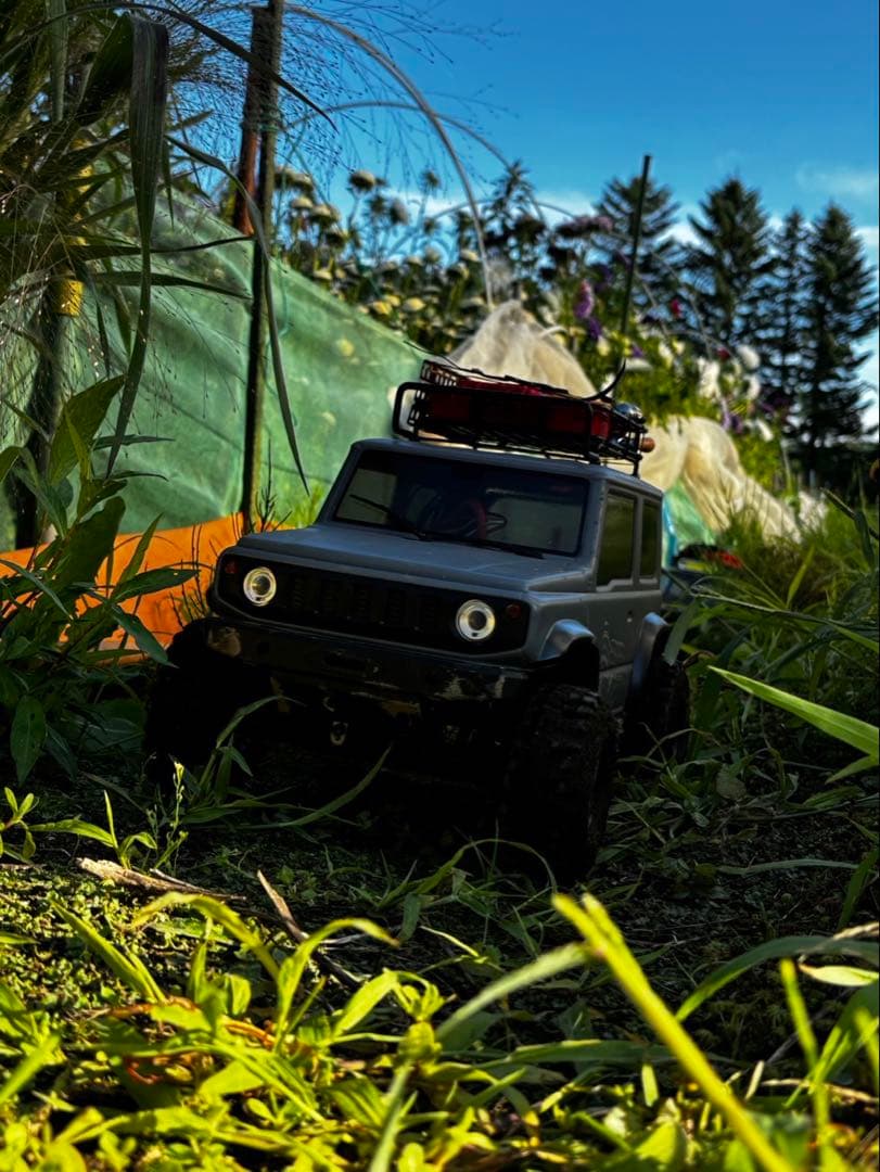 11月23日迄 293出品中