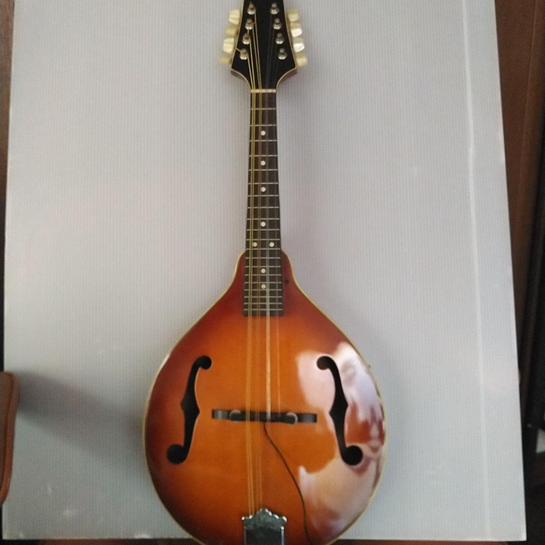 マンドリン アリアAM200