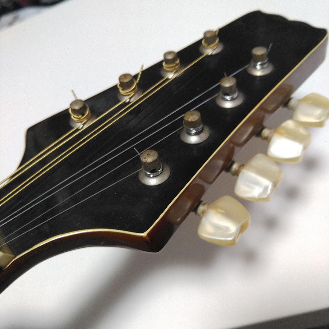 マンドリン アリアAM200