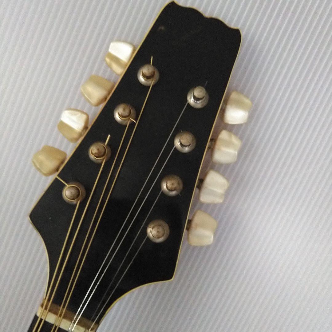 マンドリン アリアAM200