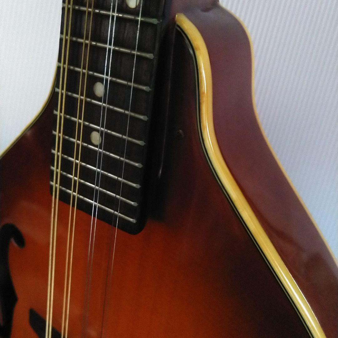 マンドリン アリアAM200