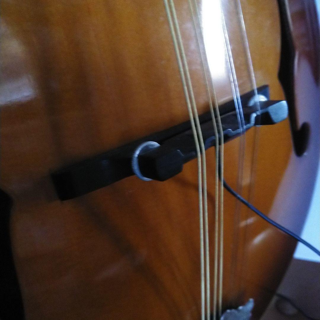 マンドリン アリアAM200