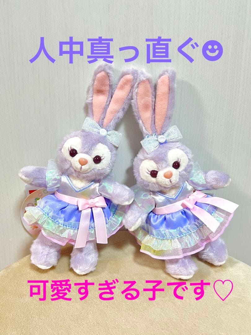 【一時停止中】カラフルハピネス　ステラルー　ぬいぐるみバッジ　20周年　ぬいば