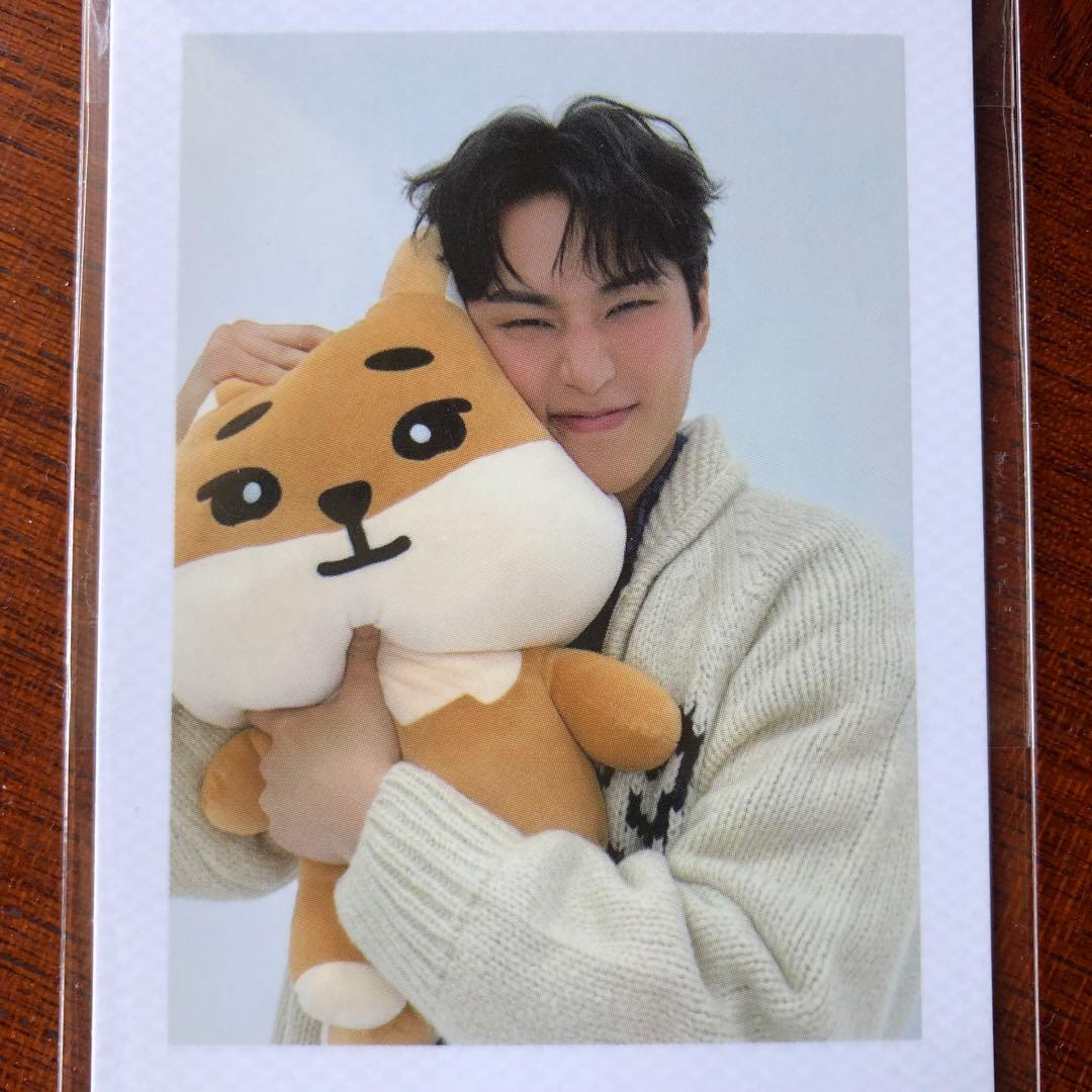 day6 denimalz ぬいぐるみジャイアントver. トレカKE ヨンケイ