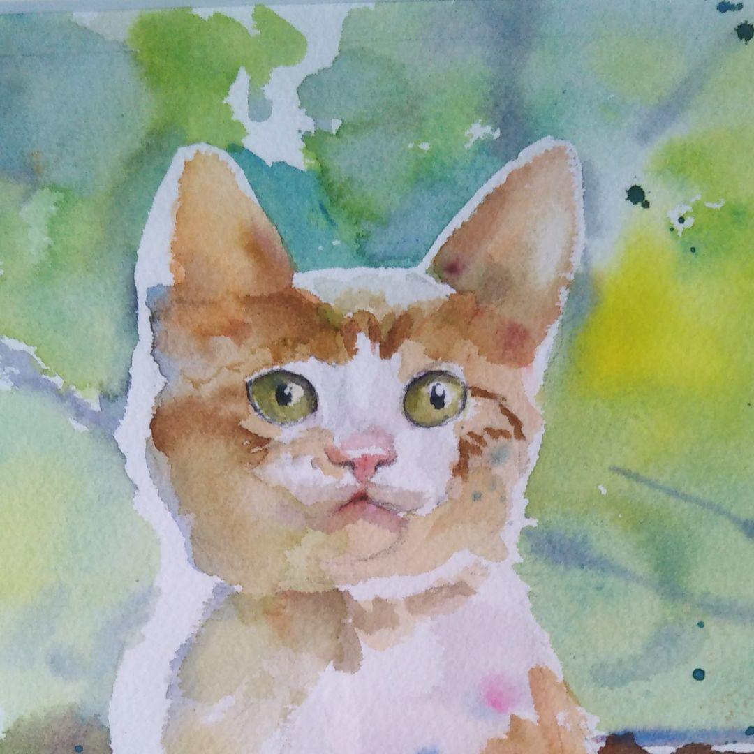 猫　水彩画