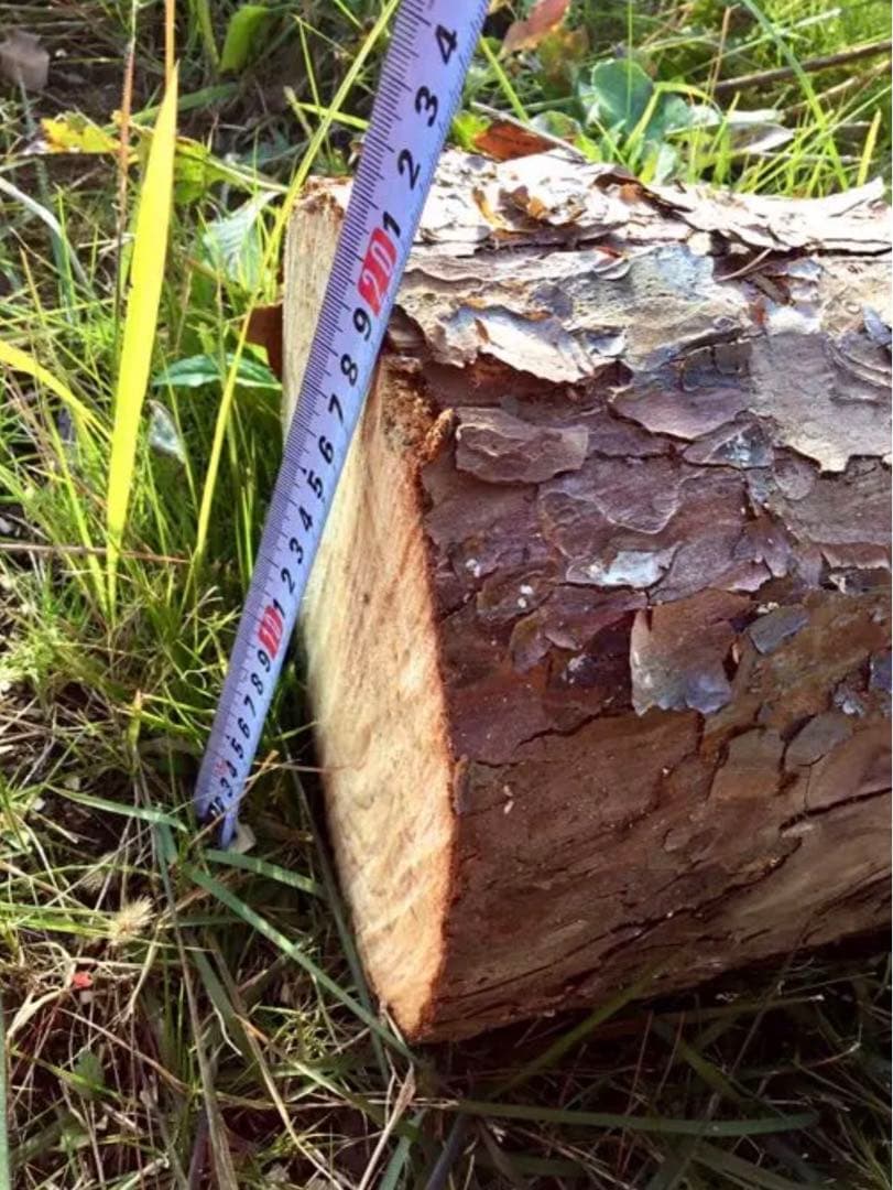 【販売済み】天然赤松/切り株/丸太/原木/薪割り台/椅子/彫刻やDIYなどにも！