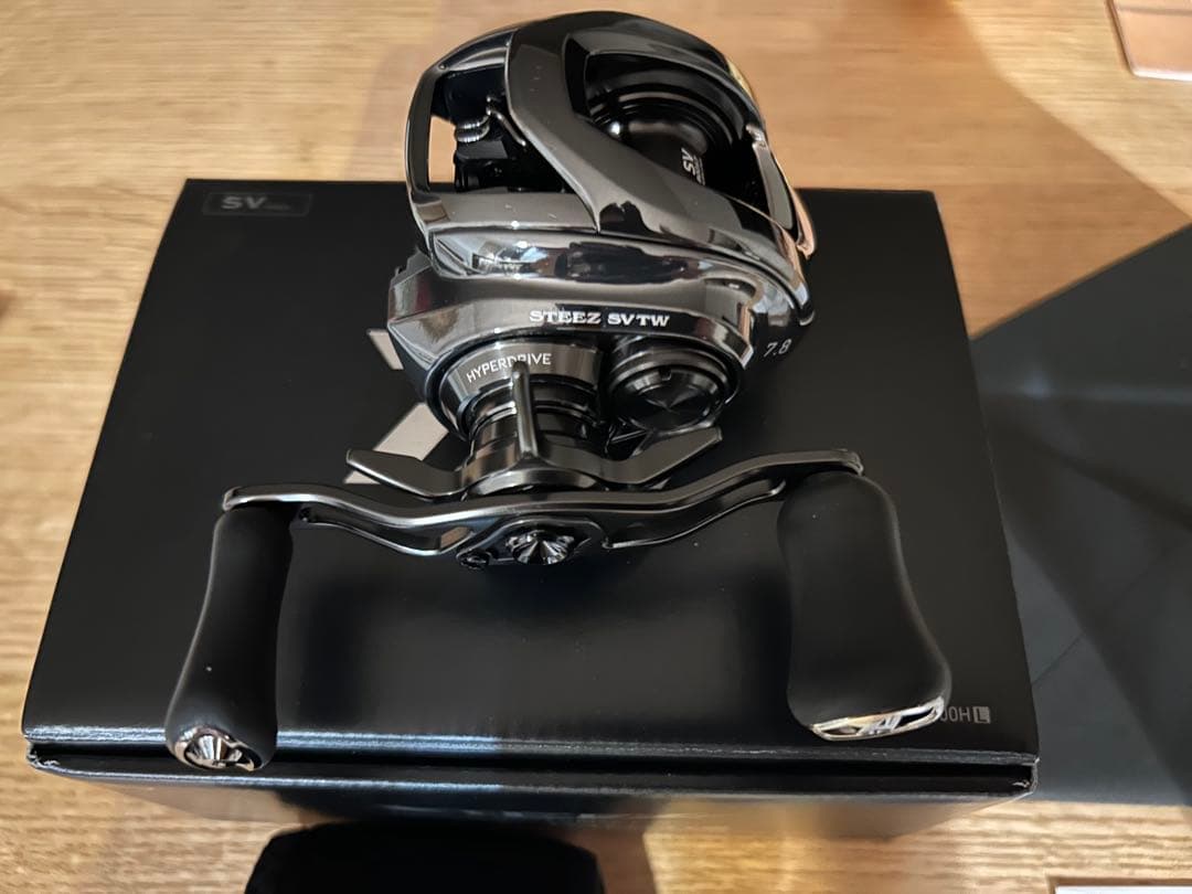 ダイワ 24スティーズ SV TW 100HL