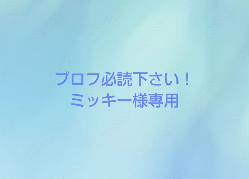 プロフ必読下さい！ミッキー