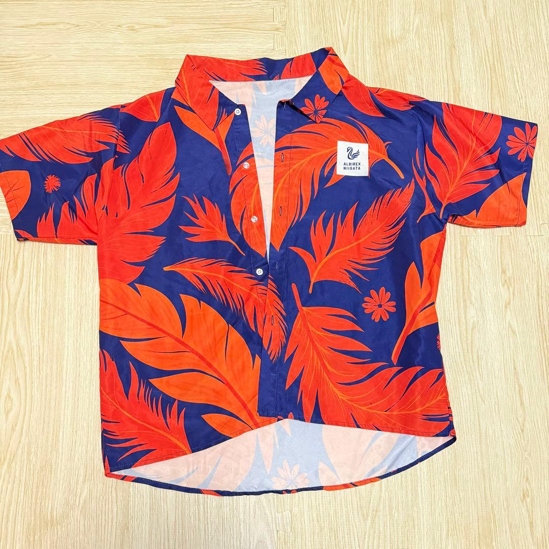 アルビグッズまとめ売り　商品詳細は説明欄へ