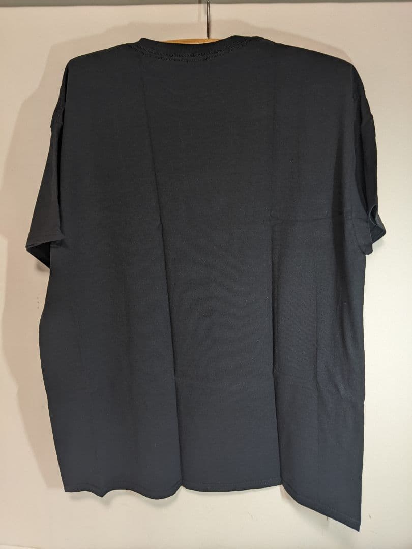 新品 NICKELBACK バンドTシャツ ニッケルバック GILDAN シャツ