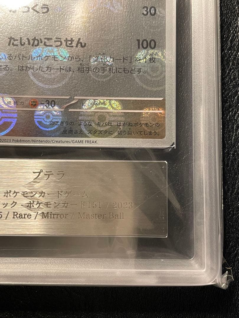 プテラ マスターボールミラー ars10 ②