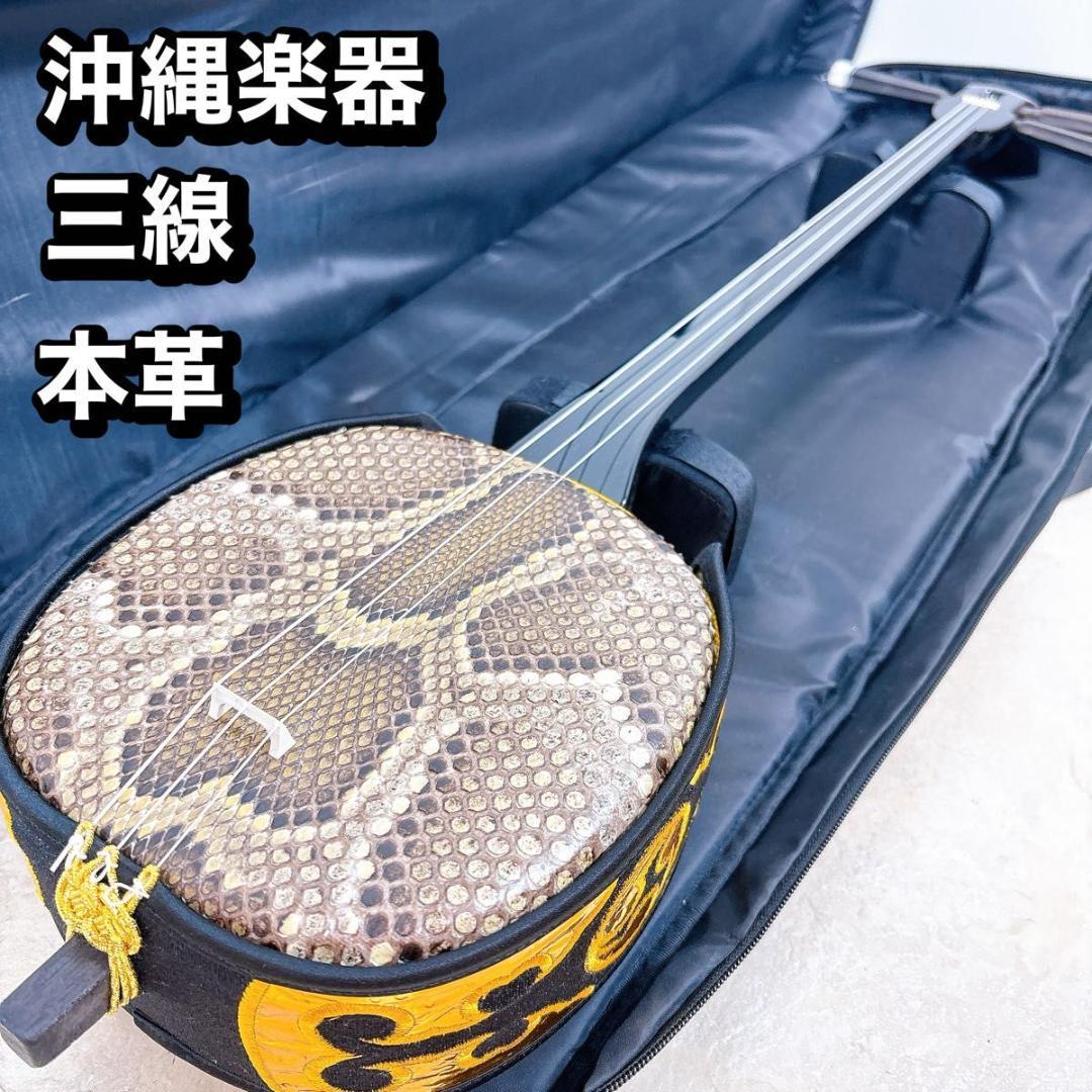 沖縄三線 本蛇革 ケース付き 初心者 入門 蛇皮 本革