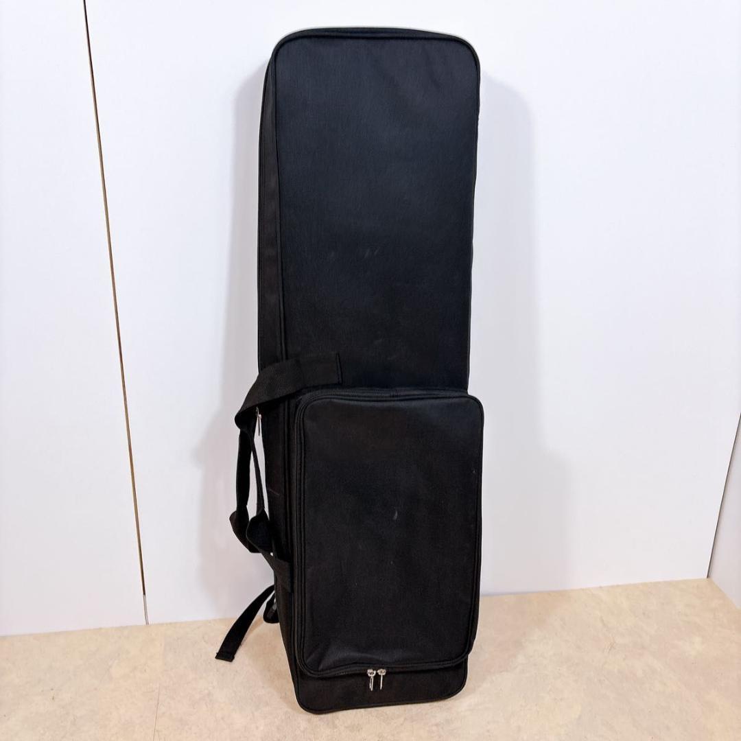 沖縄三線 本蛇革 ケース付き 初心者 入門 蛇皮 本革