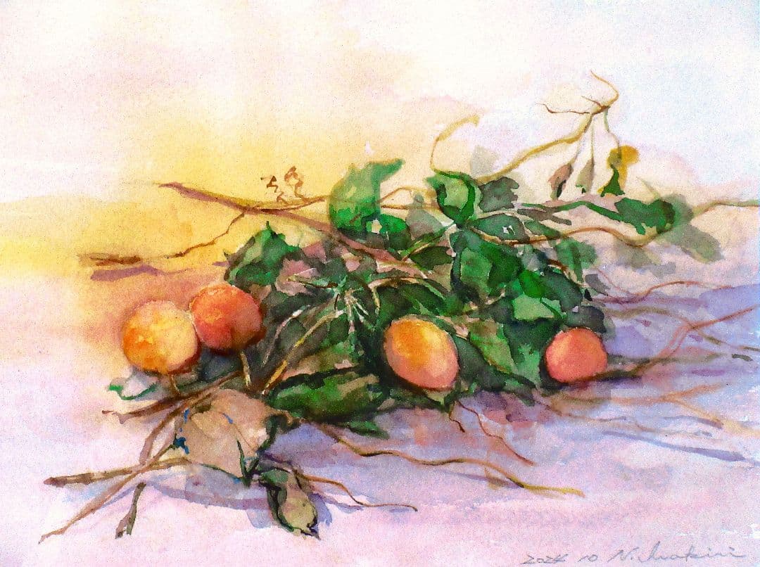 果物の水彩画 2024年作