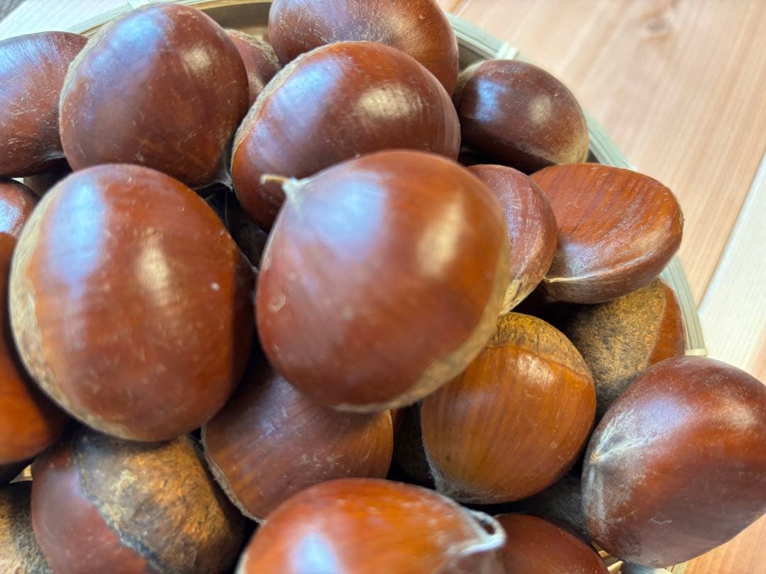 笠間栗 5kg 大粒 2L〜4L 高糖度