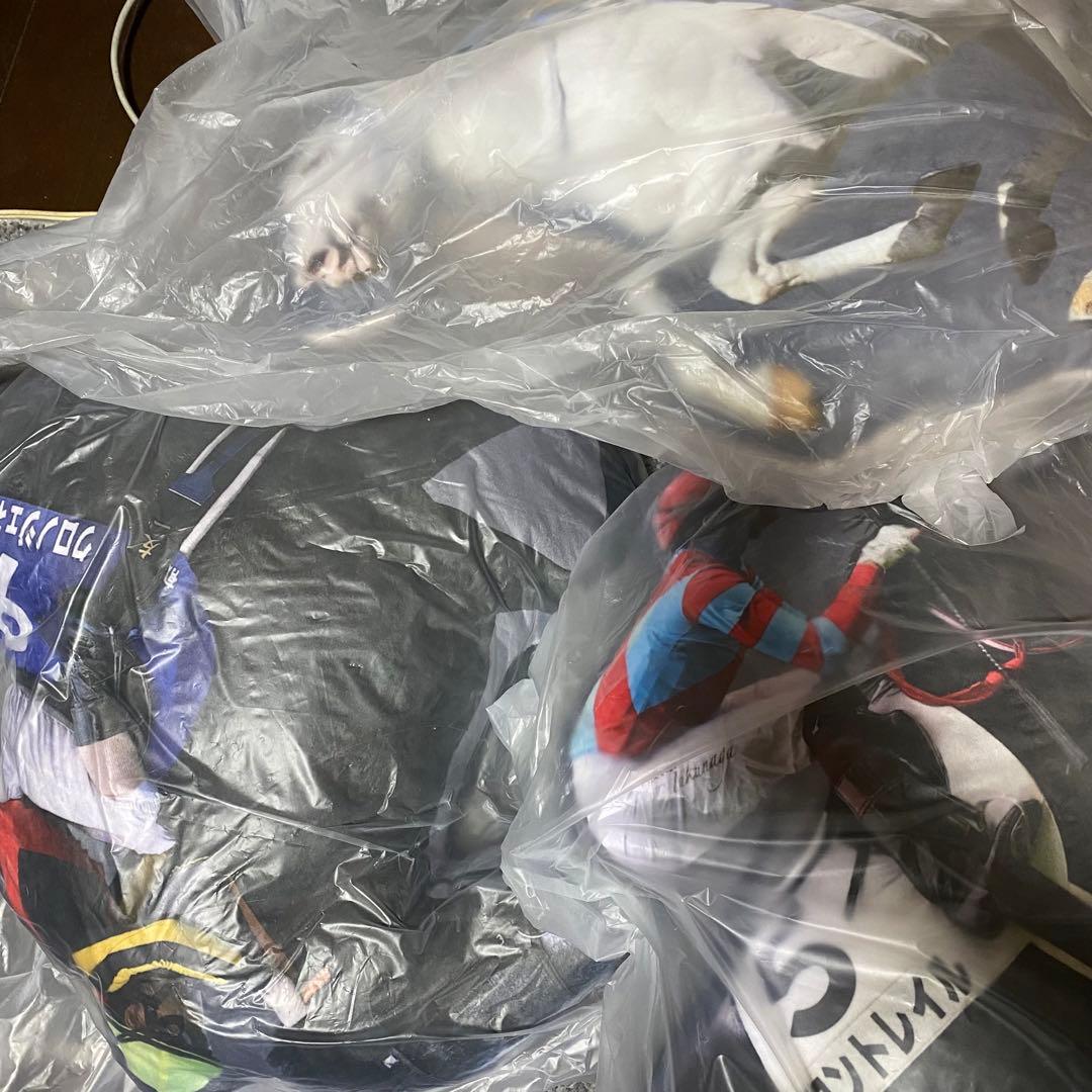 ソダシ クロノジェネシス コントレイル リアルコントレイルクッション