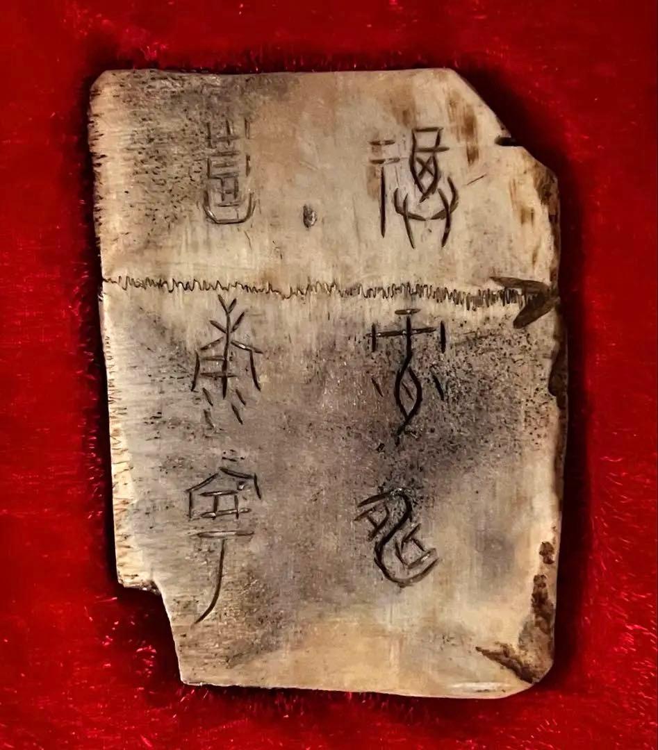 中国美術 希少 時代 古殷墟甲骨文 参考資料