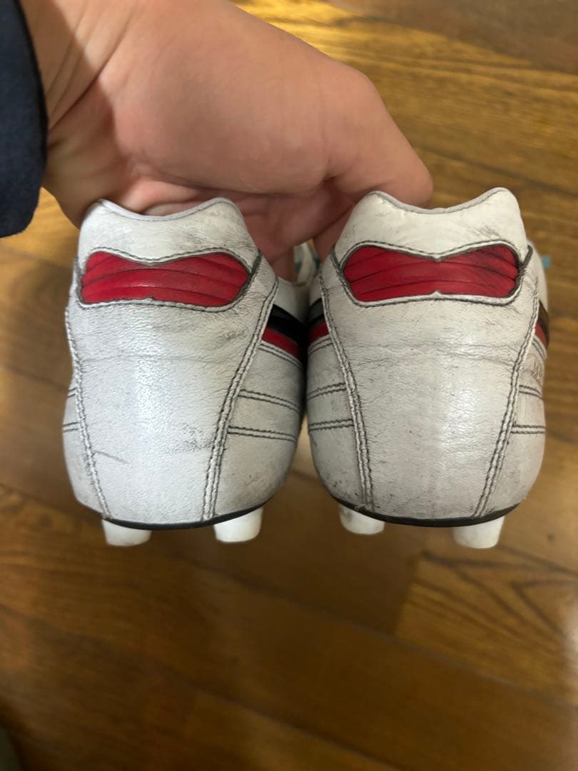 Mizuno モレリアⅡ JAPAN AG 25cm