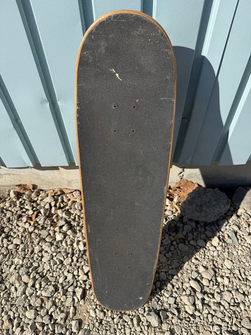 希少 Carver カーバー Griffin モデル スケートボード