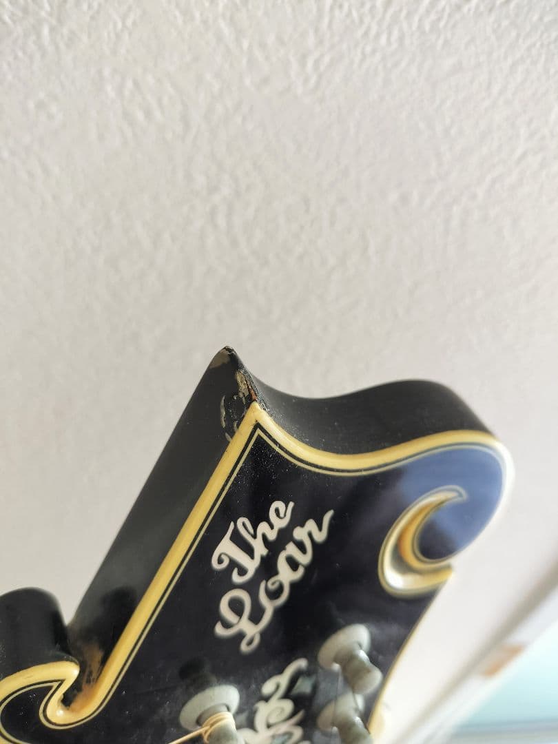 The Loar フラットマンドリン