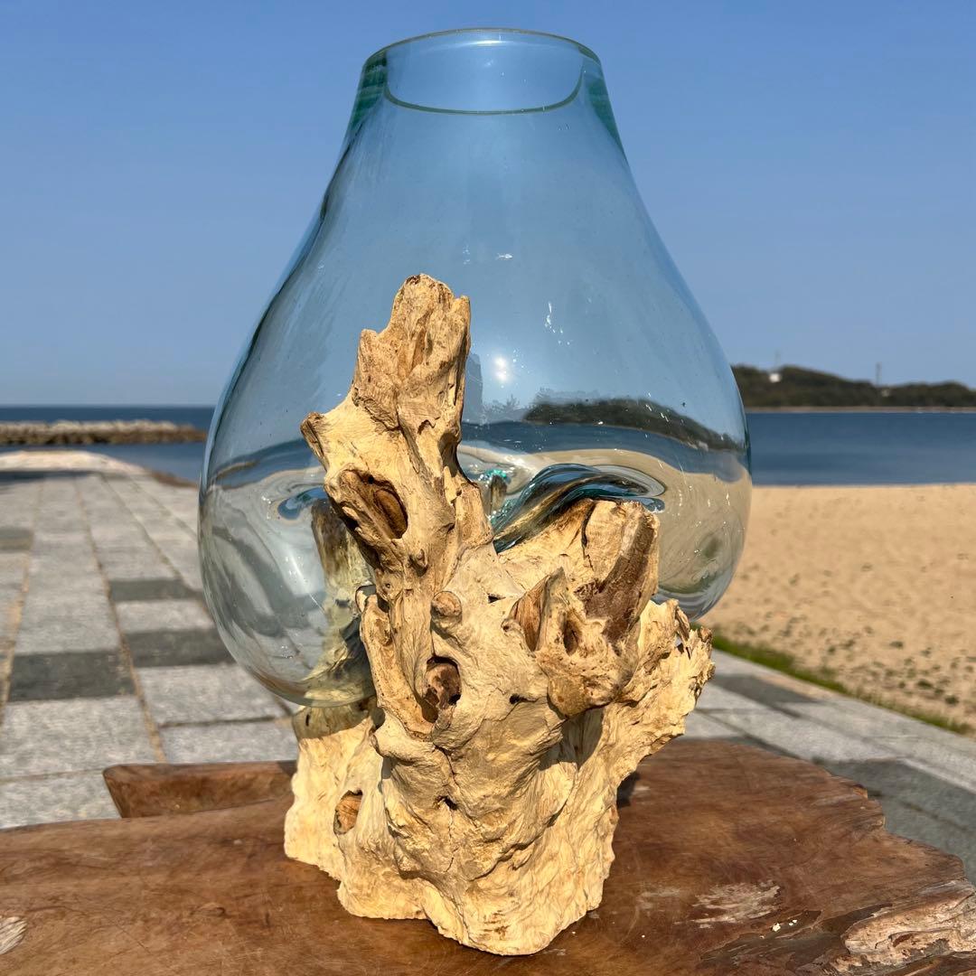 超超特大流木ガラスオブジェWB 花瓶 金魚鉢 水槽 苔リウム メダカ容器 超大型