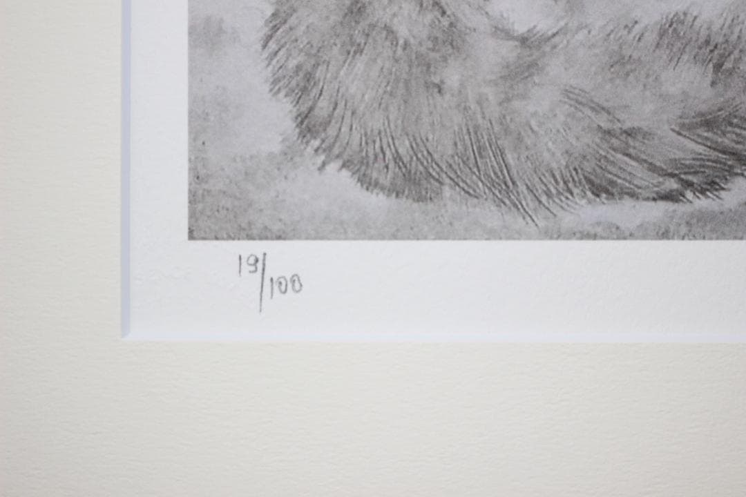 藤田嗣治 エスタンプリトグラフ「猫」 19/100