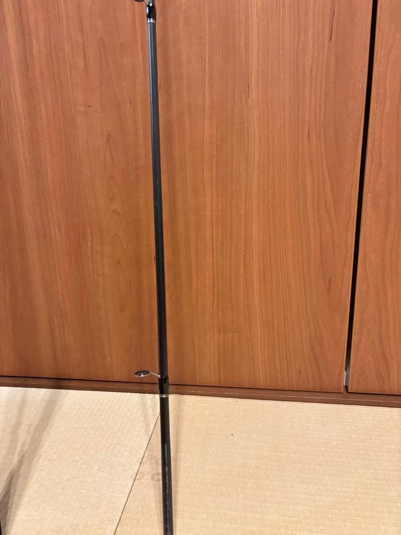 シマノロッド　ディアルーナ＋ソルティーアドバンス