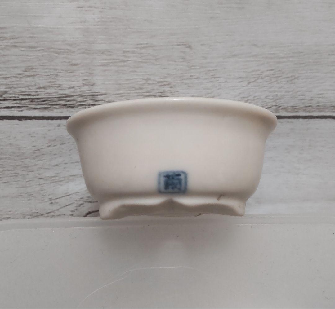 【レア】宗像一蒼×大島まゆみコラボ　ミニ盆栽鉢