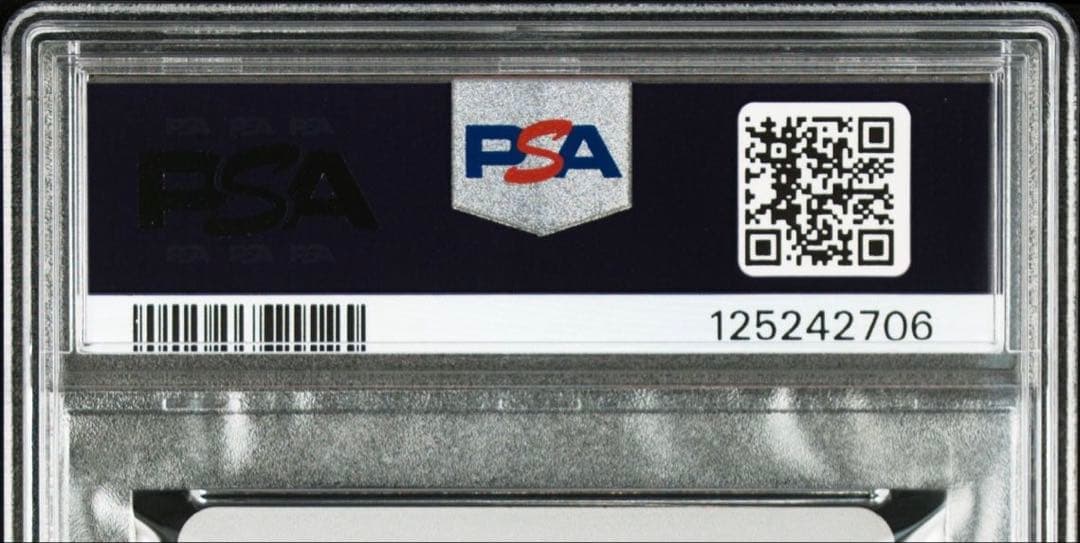 【PSA10】ストリートファイターZERO2 ゲーメスト 通販広告販売カード