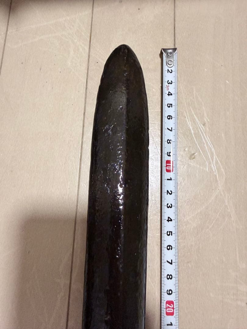 槍の鞘（槍本体はありません）